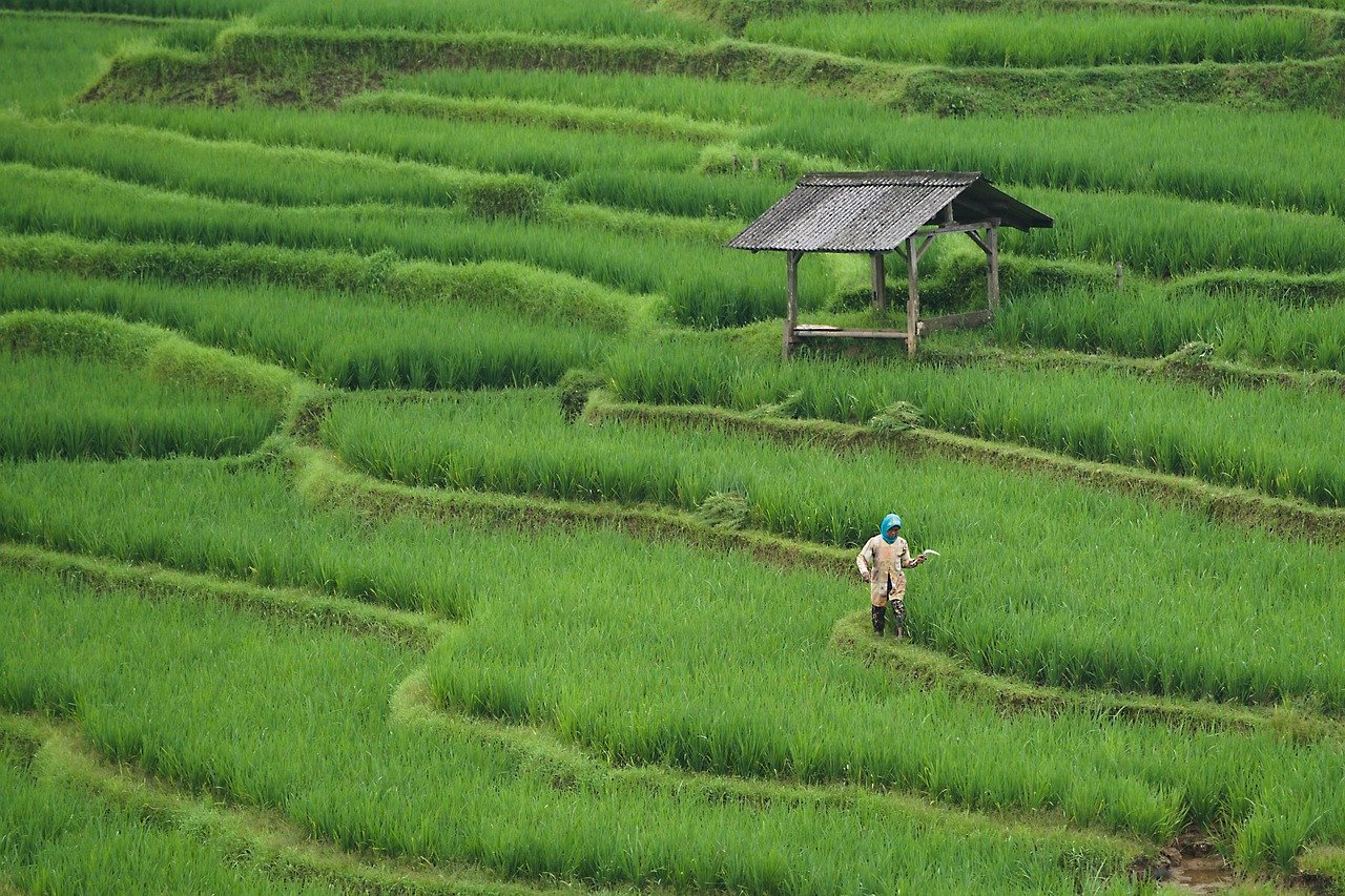 How Machine Learning Will Influence Agriculture